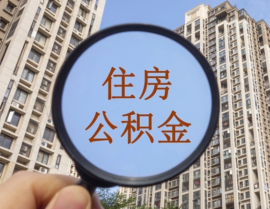 四川退休后查不到公积金明细了吗（退休后公积金查询不到原因）